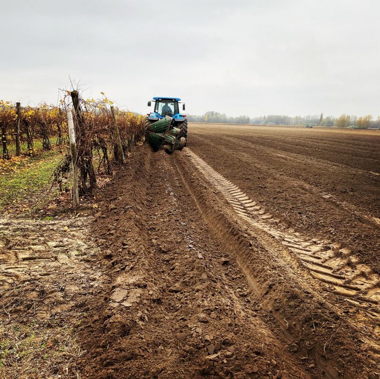 7A4DA3CE-EF55-4FCF-B048-3F30646D014B