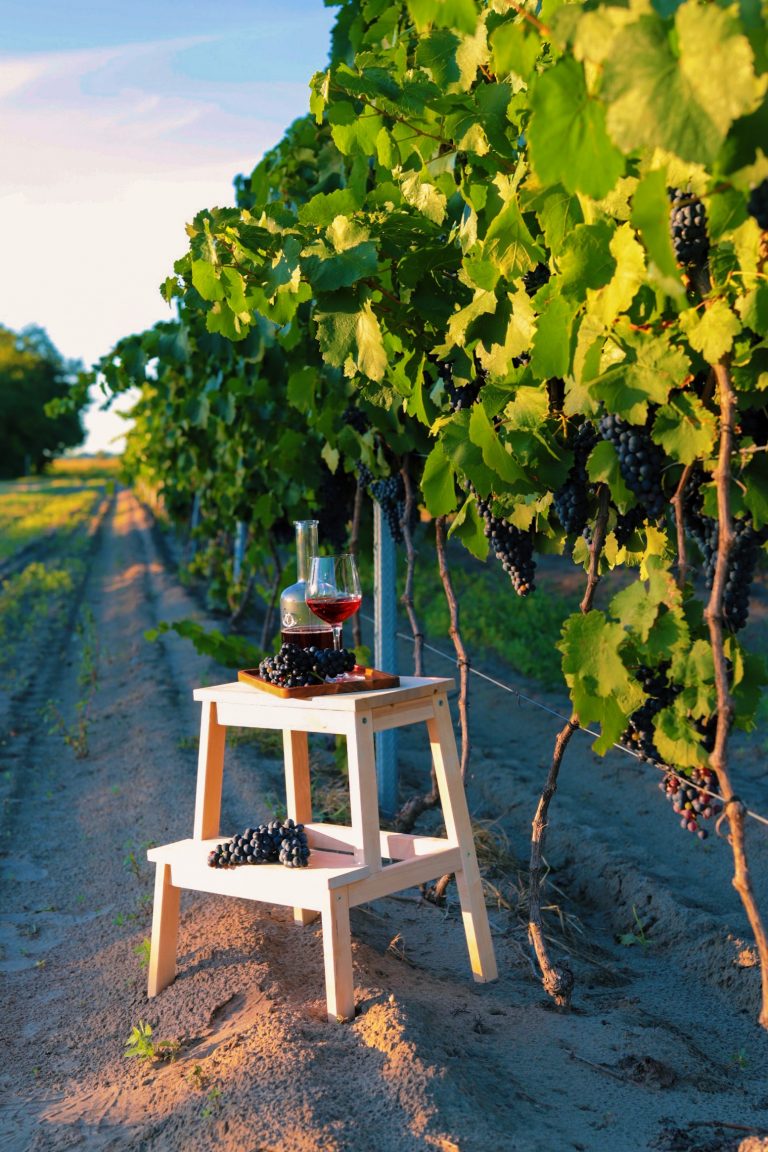 Processed with VSCO with l6 preset